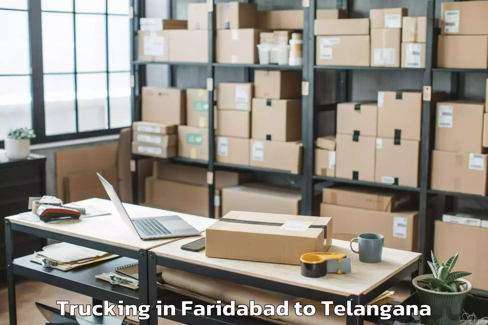 Book Faridabad to Thripuraram Trucking Online